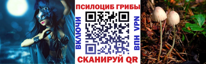 Псилоцибиновые грибы прущие грибы  Славск 