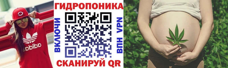 Конопля семена  OMG сайт  Славск 